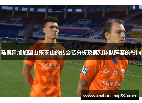 马德鲁加加盟山东泰山的转会费分析及其对球队阵容的影响