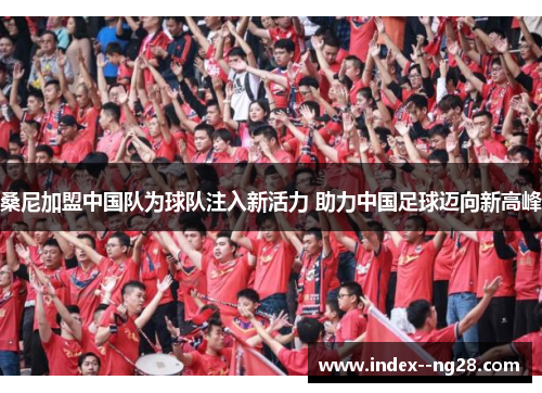 桑尼加盟中国队为球队注入新活力 助力中国足球迈向新高峰