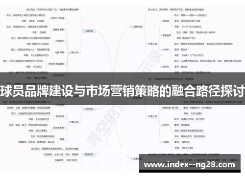 球员品牌建设与市场营销策略的融合路径探讨