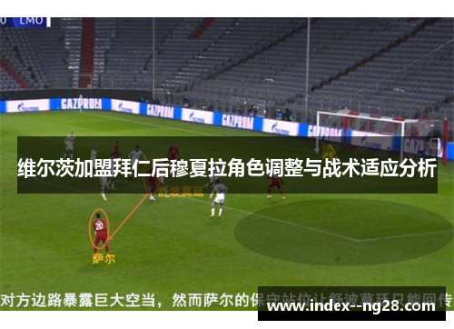 维尔茨加盟拜仁后穆夏拉角色调整与战术适应分析 维尔茨加盟拜仁后穆夏拉角色调整与战术适应分析