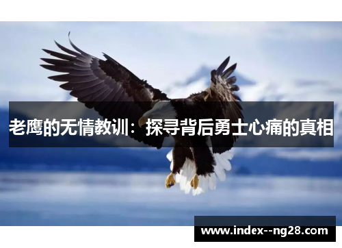 老鹰的无情教训：探寻背后勇士心痛的真相