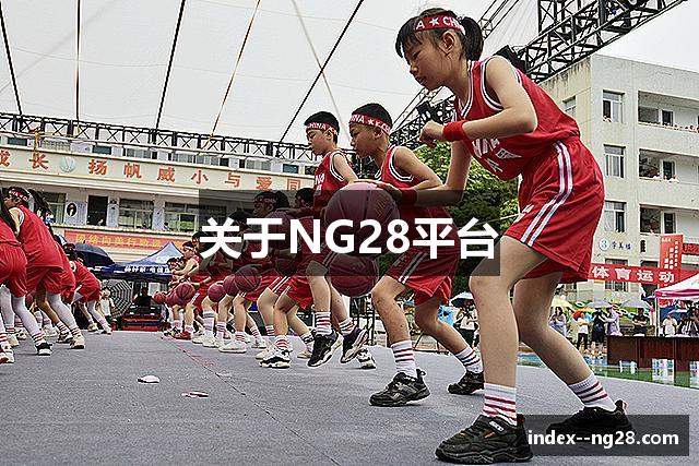 关于NG28平台